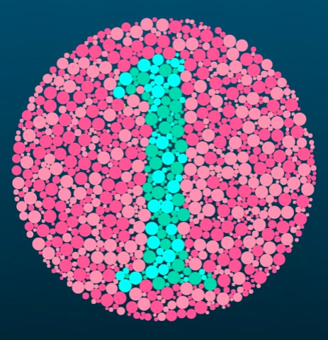 Ishihara color vision test plate